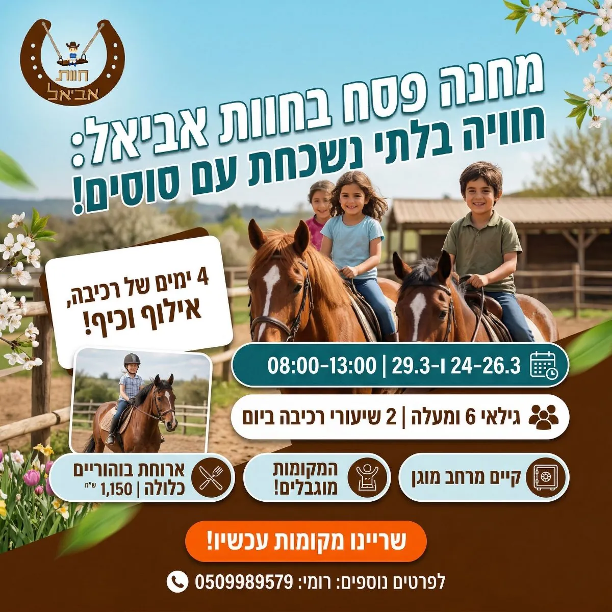 באנר מחנה פסח חוות סוסים